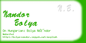 nandor bolya business card